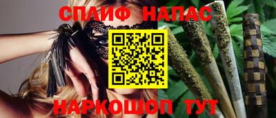 сатива Бузулук