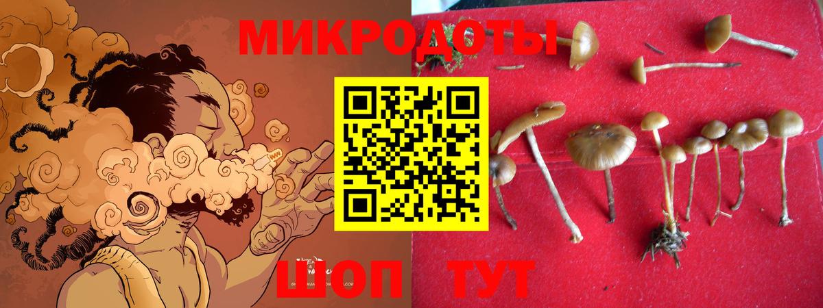 Галлюциногенные грибы Psilocybe Наро-Фоминск