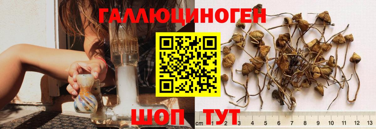 сколько стоит  Галлюциногенные грибы Cubensis  Вход с VPN  Наро-Фоминск 